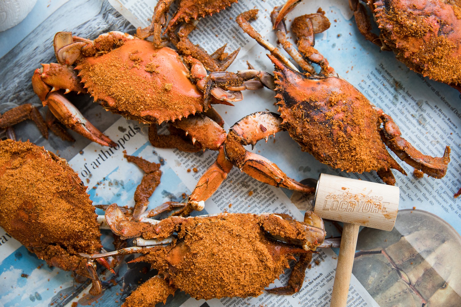 Blue Crabs Recipes