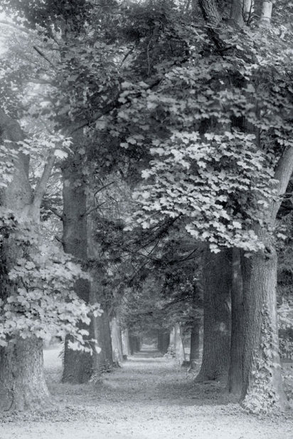 Peirce's Park, 1913