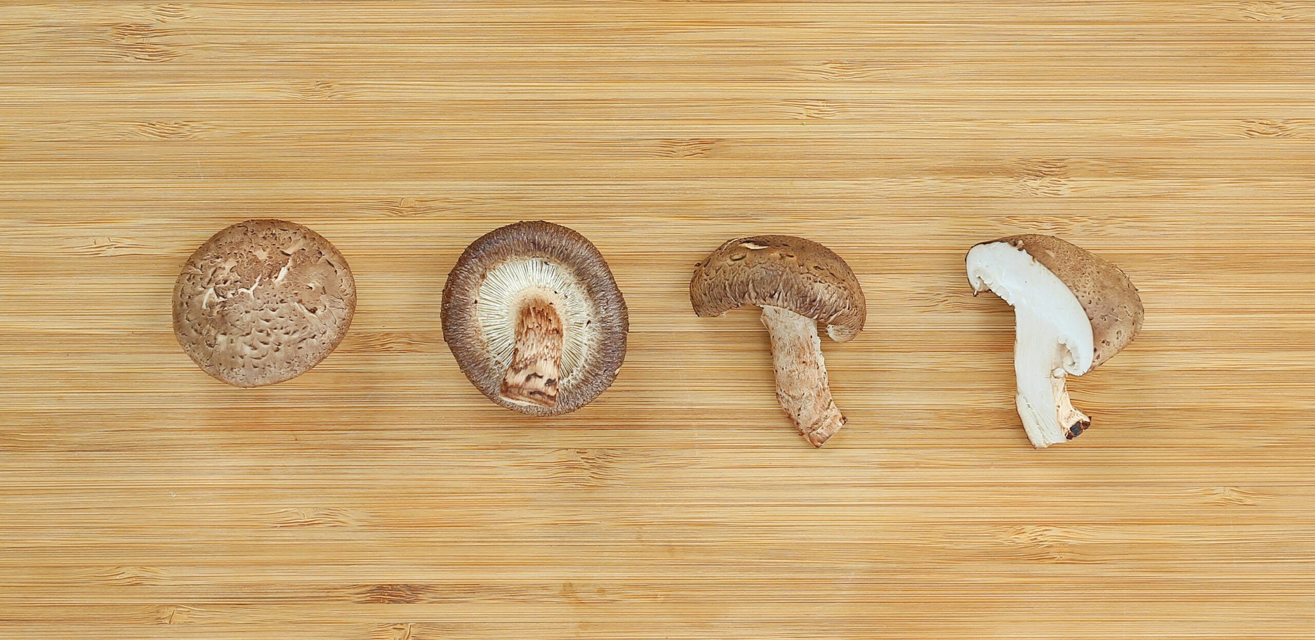 Shiitake Mushroom SS 0217.jpg