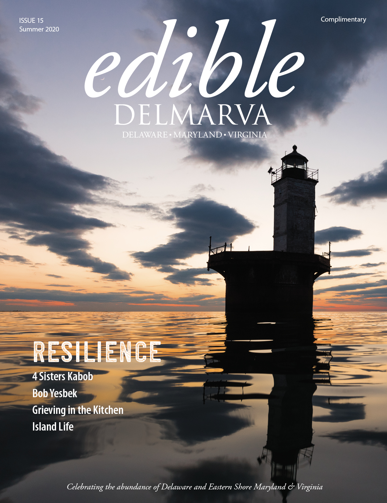 EDMV 15 Cover LR.jpg