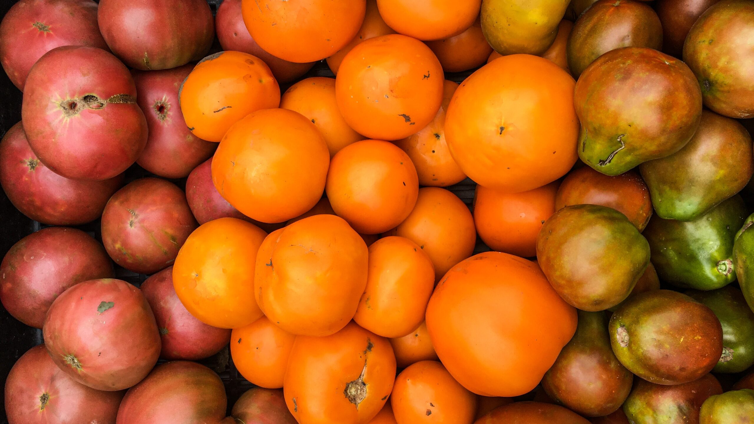 web banner 2.jpg