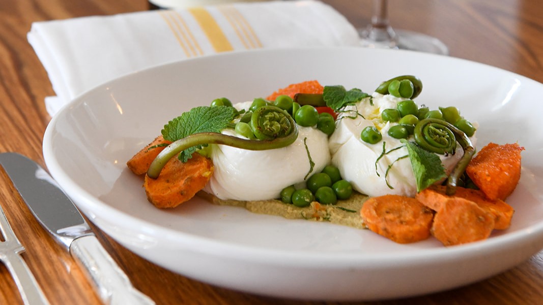web burrata 1.jpg