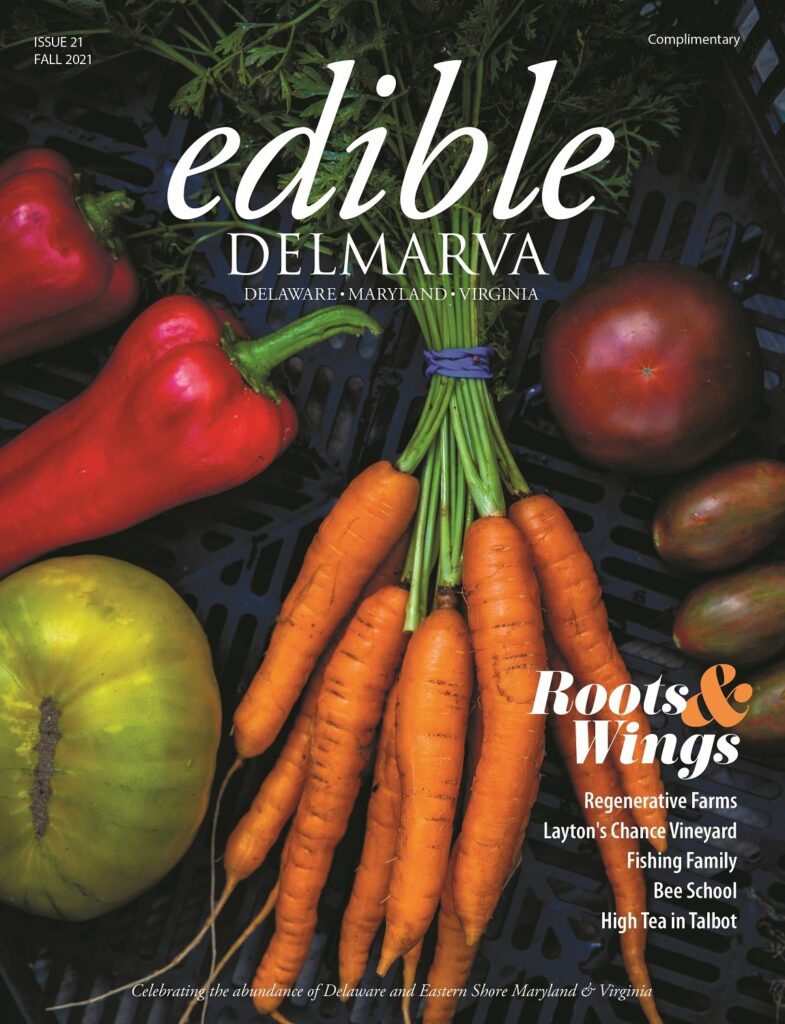 Fall 21 Cover .jpg