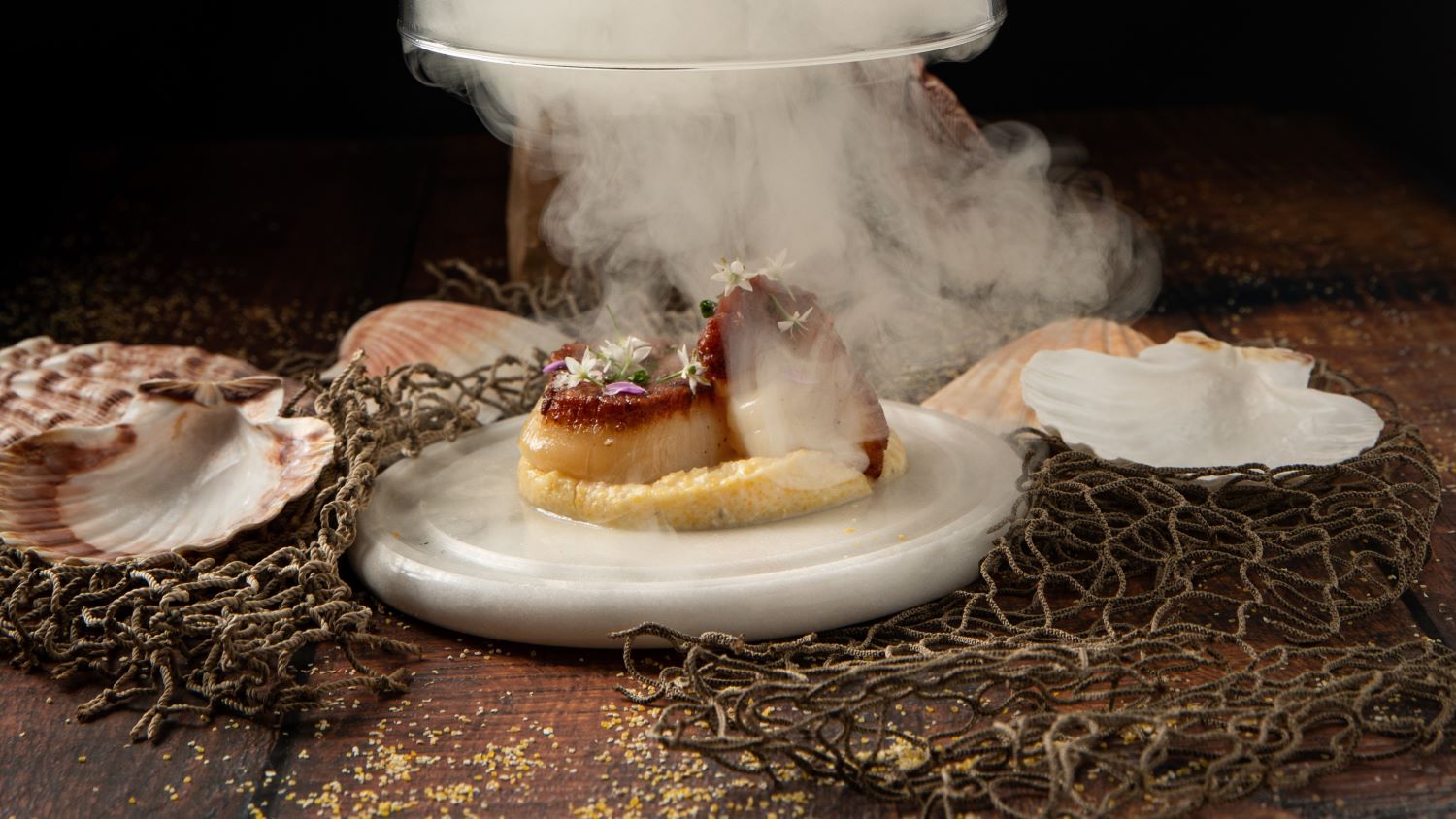 web scallop 2.jpg