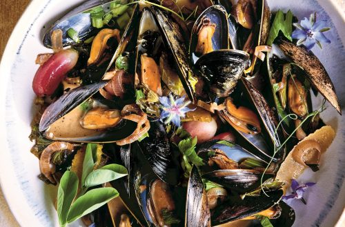 Mussels for Betty M Hammer JPG RECIPE WEB.jpg